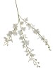 Haste de Orquídea Branca 3D 0371-21-1