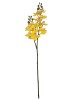 Haste de Orquídea 3D 0371-22