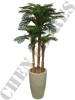 Árvore de Palmeira 0371-36