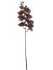 Haste de Orquídea Marrom Silicone 0863-100