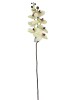 Haste de Orquídea Off White Silicone 0863-100