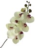 Haste de Orquídea Off White Silicone 0863-100