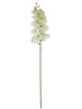Haste de Orquídea Branca Silicone 0863-45