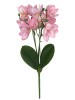 Buquê Orquídea Cymbidium 0863-98