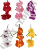 Haste de Orquídea 61001