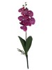 Haste de Orquídea 3D 87221