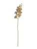 Haste de Orquídea 3D 87222