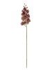 Haste de Orquídea 3D 87222