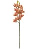Haste Orquídea Cymbidium 3D 87224