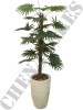 Árvore Palmeira Leque 9175-3