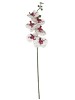 Haste de Orquídea 3D A9342