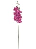 Haste de Orquídea 3D A9342