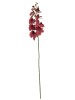 Haste de Orquídea 3D A9343