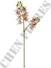 Haste de Orquídea Cymbidium 3D A9399-1