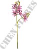 Haste de Orquídea Cymbidium 3D A9399-1