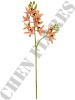 Haste de Orquídea Cymbidium 3D A9399-1