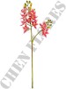 Haste de Orquídea Cymbidium 3D A9399-1