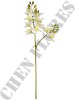 Haste de Orquídea Cymbidium 3D A9399-1