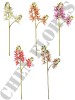 Haste de Orquídea Cymbidium 3D A9399-1