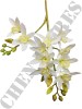 Haste de Orquídea Cymbidium 3D A9399-1