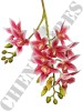 Haste de Orquídea Cymbidium 3D A9399-1