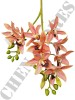 Haste de Orquídea Cymbidium 3D A9399-1