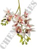 Haste de Orquídea Cymbidium 3D A9399-1