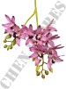 Haste de Orquídea Cymbidium 3D A9399-1