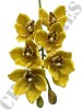 Haste de Orquídea Cymbidium Amarela E.V.A A9400-6