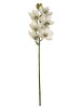Haste de Orquídea Cymbidium Branca E.V.A A9400-1