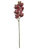 Haste de Orquídea Cymbidium Pintadinha E.V.A A9400-3