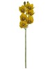 Haste de Orquídea Cymbidium Amarela E.V.A A9400-6