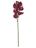 Haste de Orquídea Cymbidium Lilás E.V.A A9400-7