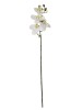 Haste de Orquídea Branca 3D B23-49