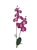 Haste de Orquídea 87069